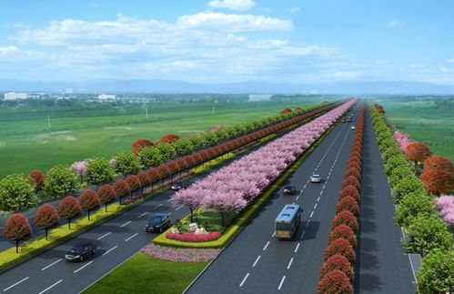 新機場大道景觀綠化工程正式開工，打造城市生態走廊