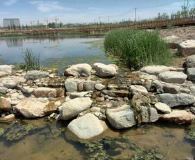 蘭州園林景觀工程預計年底全面完工，城市顏值再提升