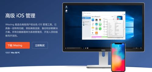iMazing 2.17.6官方版下載、安裝指南及常見問題全解析
